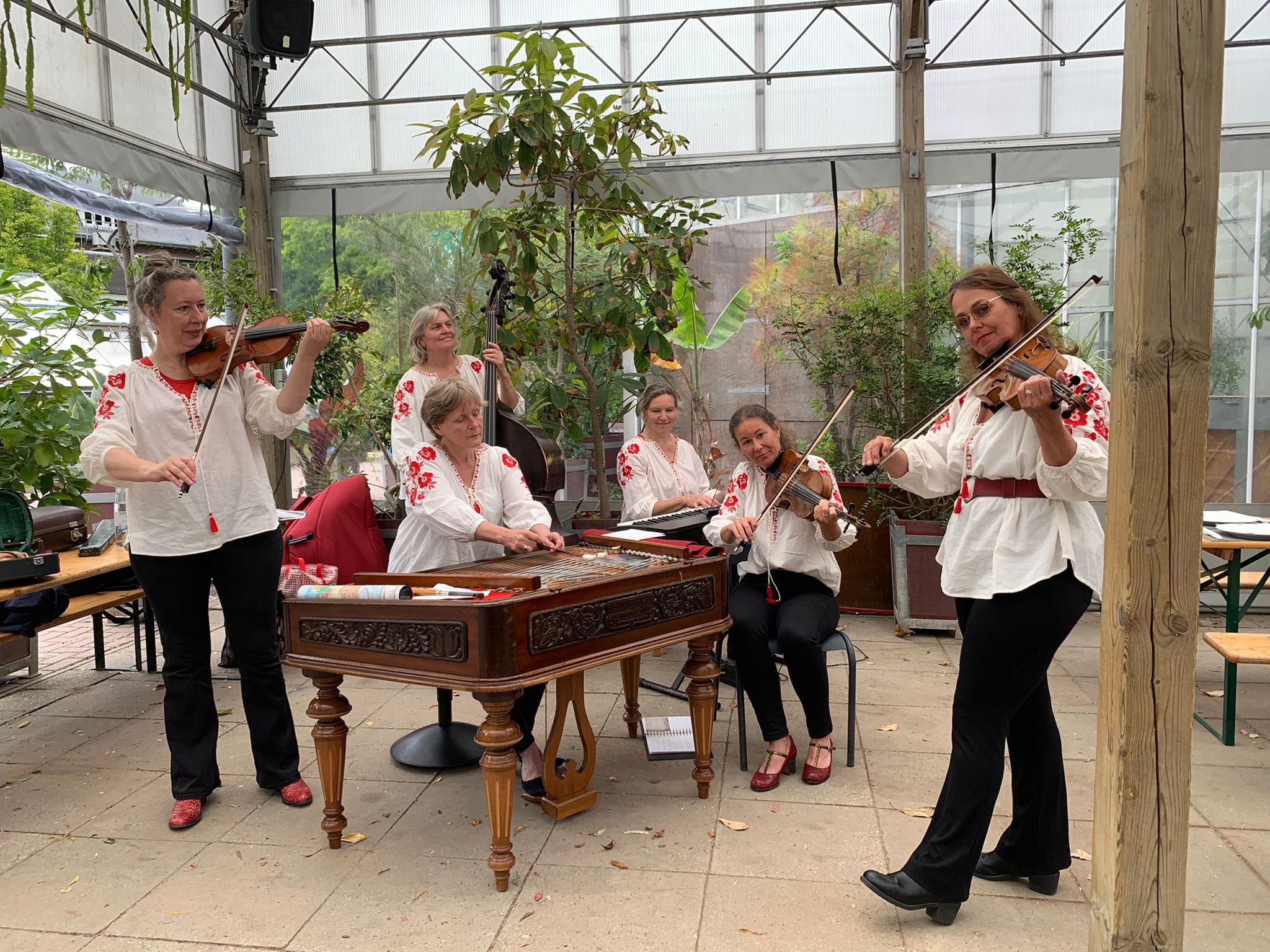 Csirke Banda aan het optreden